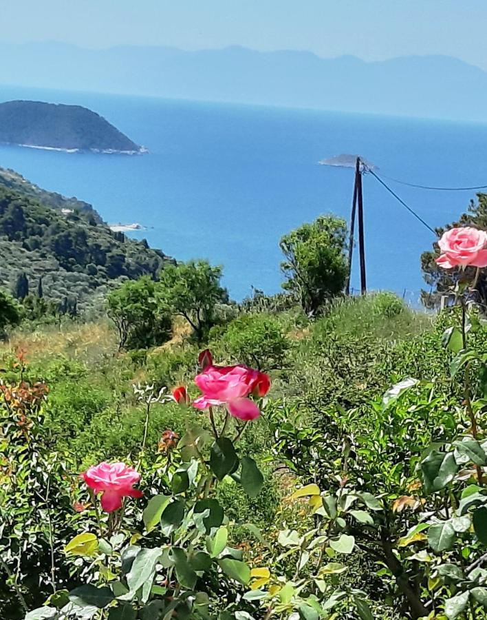 Villa Lemonia Glossa Esterno foto